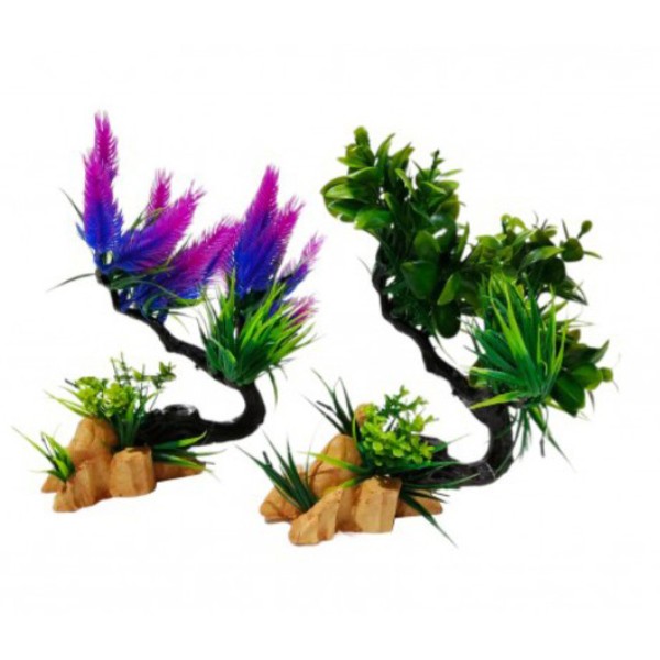 ΔΙΑΚΟΣΜΗΤΙΚΟ ΦΥΤΟ ΕΝΥΔΡΕΙΟΥ 2 ΣΧΕΔΙΑ 8.5Χ20CM